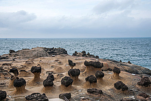 台湾新北市万里区,野柳地质公园,的蕈状岩奇特景观岩礁