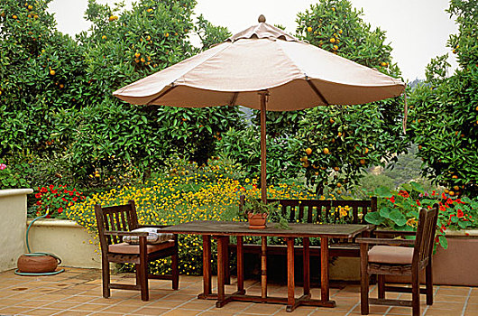 桌子,椅子,伞,内庭,种植