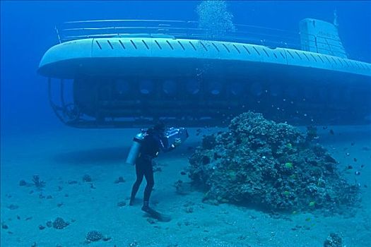 夏威夷,毛伊岛,潜水,拍摄,亚特兰蒂斯,潜水艇