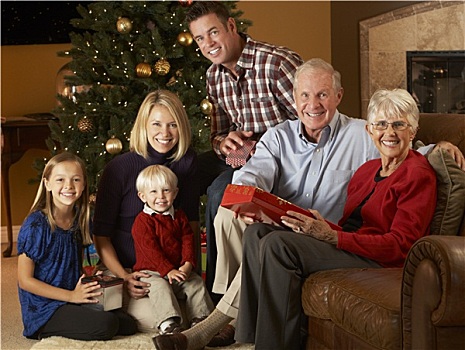 家庭,打开,圣诞礼物,正面,树