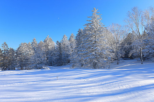 老里克湖冰雪风光