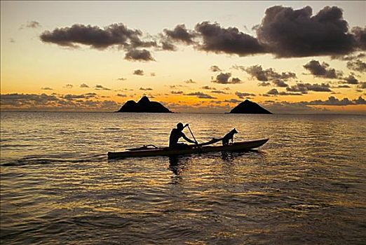 夏威夷,瓦胡岛,男人,狗,舷外支架,独木舟,日落