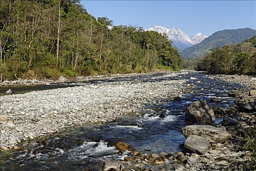 山谷,河,保护区,克钦邦,缅甸,北方