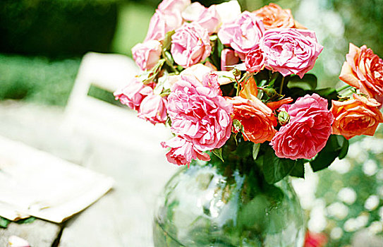 特写,粉色,橙色,玫瑰,花瓶