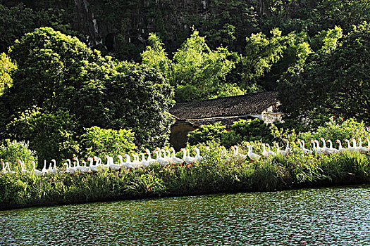 阳江,阳春市