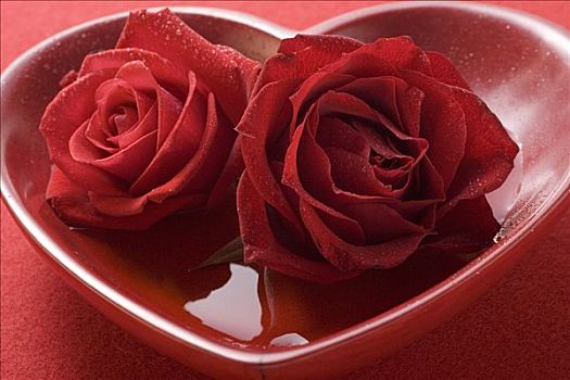 红玫瑰,心形,碗