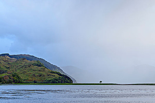 模糊,云,孤木,苏格兰,海岸,靠近,艾琳多南古堡,英国