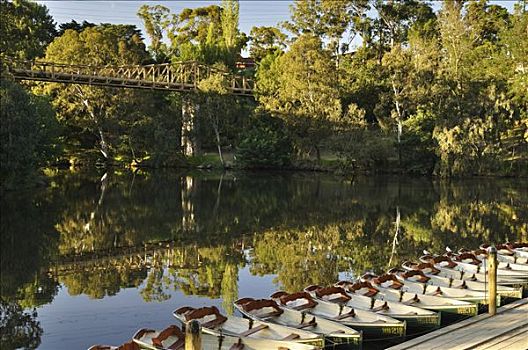 船,亚拉河,公园,维多利亚,澳大利亚