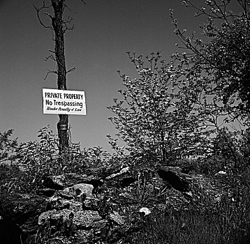 私人财产,警告标识,树上