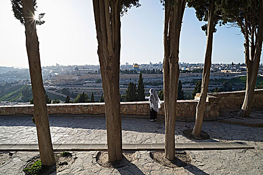 以色列,朝圣,祈祷,橄榄,面对,老城,耶路撒冷