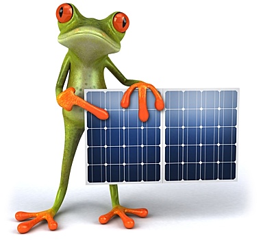 青蛙,太阳能电池板