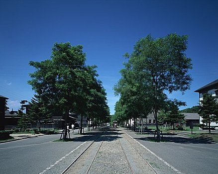 北海道,乡村,火车