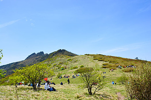 秦岭高山草甸