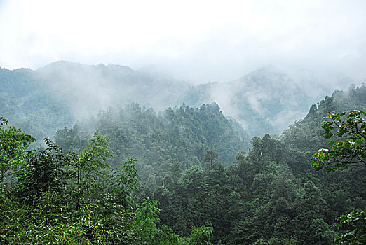 大山里的田园春色