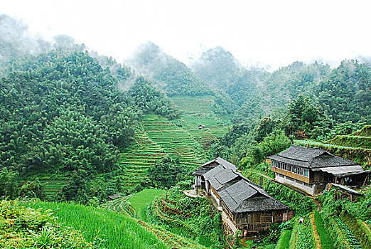 大山里的田园春天