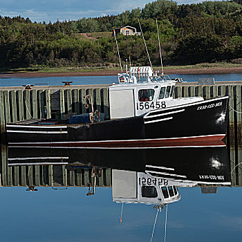 渔船,停泊,码头,布雷顿角岛,新斯科舍省,加拿大