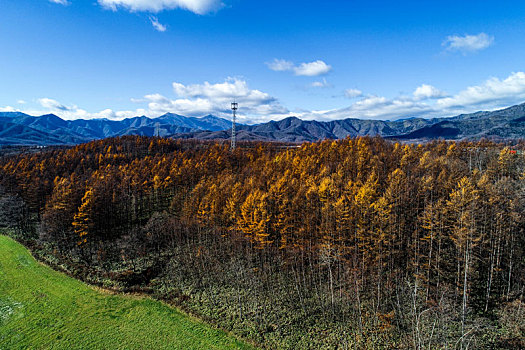 晚秋,北海道,日本