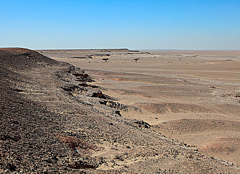 荒芜,南,卡塔尔,靠近,乡村,左边,古老,冲积,一个,100米,高处,海平面