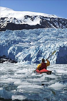 男人,皮划艇,浮冰,冰河,基奈,峡湾,国家公园