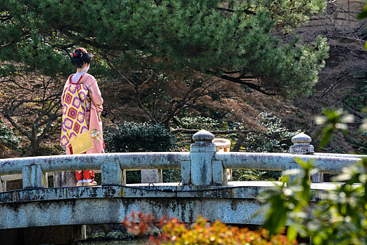 年轻,艺伎,女人,桥,公园,京都,美女,和服,站立