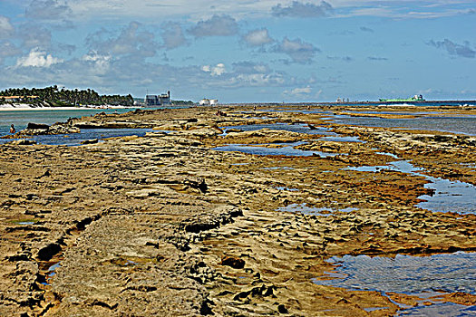 brazil,pernambuco,porto,de,galinhas,muro,alto,view,at,low,tide