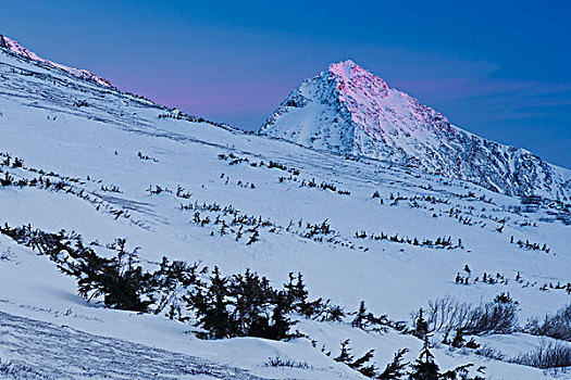 高山辉,北方,自杀,顶峰,楚加奇州立公园,阿拉斯加,冬天