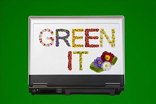 笔记本电脑,文字,绿色,信息技术,花