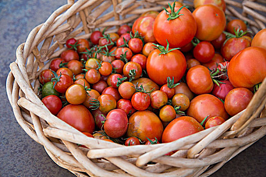 俯拍,新鲜,西红柿,柳条篮