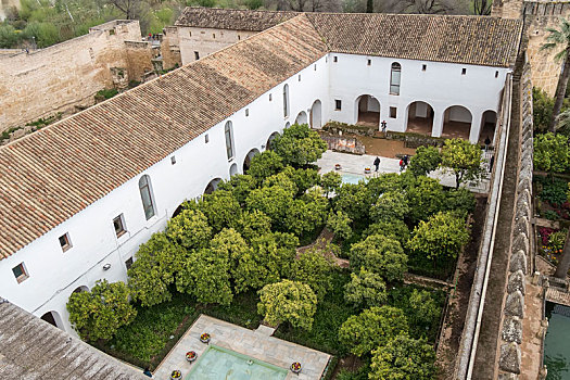 花园,城堡,科多巴,西班牙
