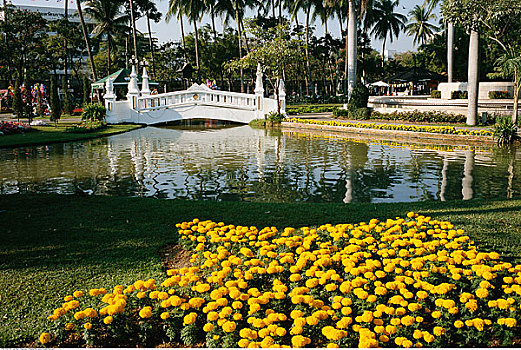 花坛,公园,清迈,泰国