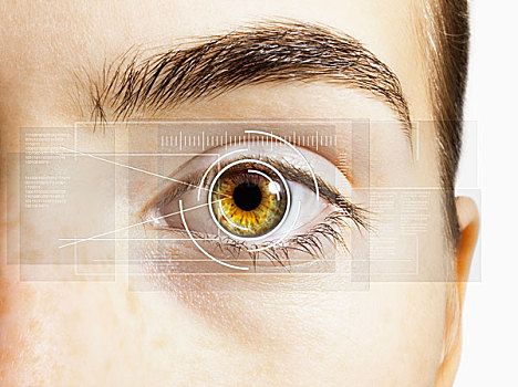 局部,特写,视网膜,扫描仪,上方,褐色眼睛