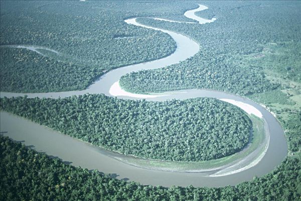 航拍,亚马逊河,丛林,巴西