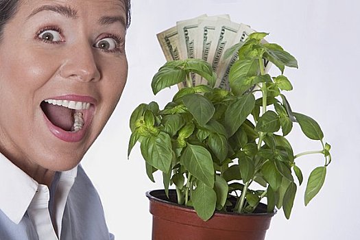 女人,看,惊奇,钱,植物