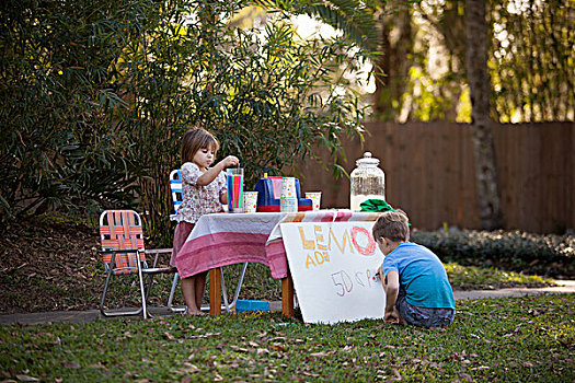 男孩,姐妹,准备,柠檬水摊,签到,花园