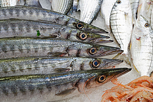 鱼肉,出售,鱼市,库萨达斯,省,爱琴海,区域,土耳其,亚洲