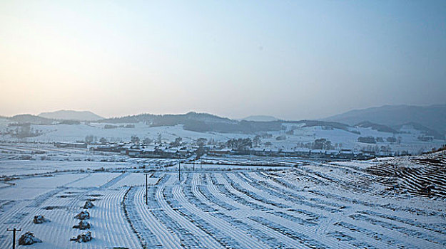雪野,北方,東北,大雪,原野,土地,冬季,潔白,干凈,風景,村莊,農村
