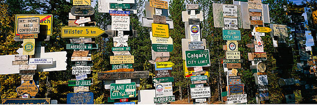标志牌,树林,湖,育空,加拿大