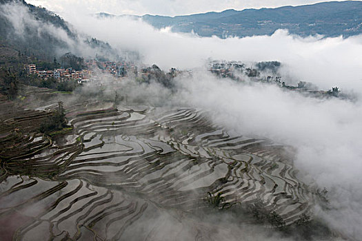 云南元阳梯田,云海,徐学哲摄影,尼康,年月