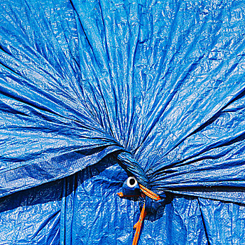 蓝色,防水油布,汇集,系,绳索,遮盖,上方,堆放,渔业,网,西雅图