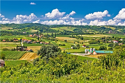 乡村,农田,绿色,风景,克罗地亚