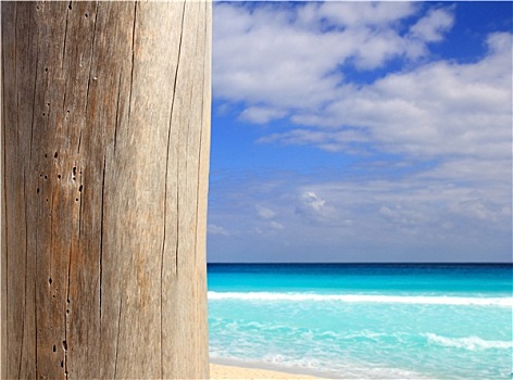 加勒比,热带沙滩,木头,风化,杆