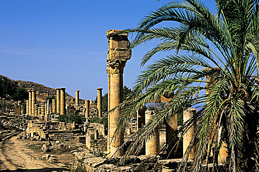利比亚,靠近,罗马,阿波罗神庙