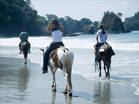 后视图,三个人,骑马,海滩