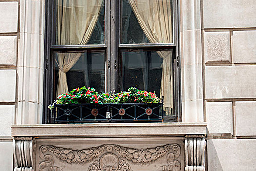 窗台花箱,窗,芝加哥,库克县,伊利诺斯,美国
