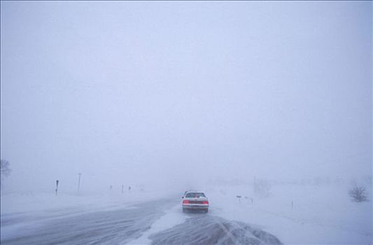 暴风雪,驾驶,一月,罗彻斯特,明尼苏达,吹,雪,汽车