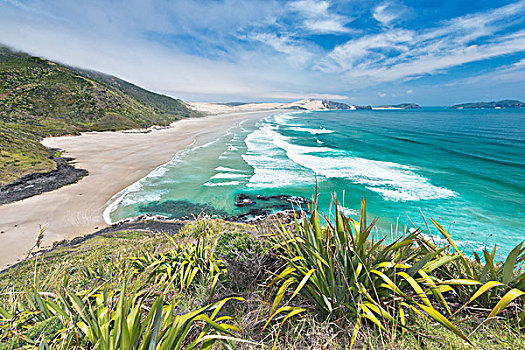 新西兰,北岛,雷因格海角,海滩,大幅,尺寸