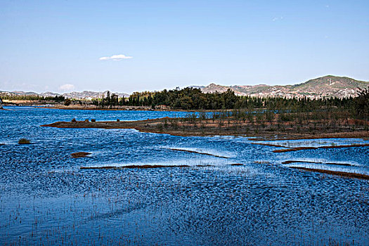 云南沾益海峰湿地