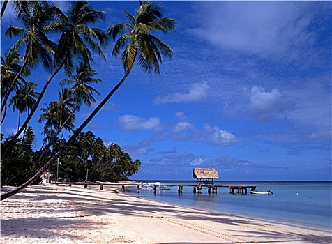 海滩,多巴哥岛