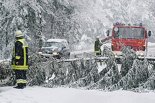 雪,毁坏,秋天,树,阻挡,道路,上巴伐利亚,巴伐利亚,德国,欧洲