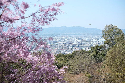 京都伏见稻荷